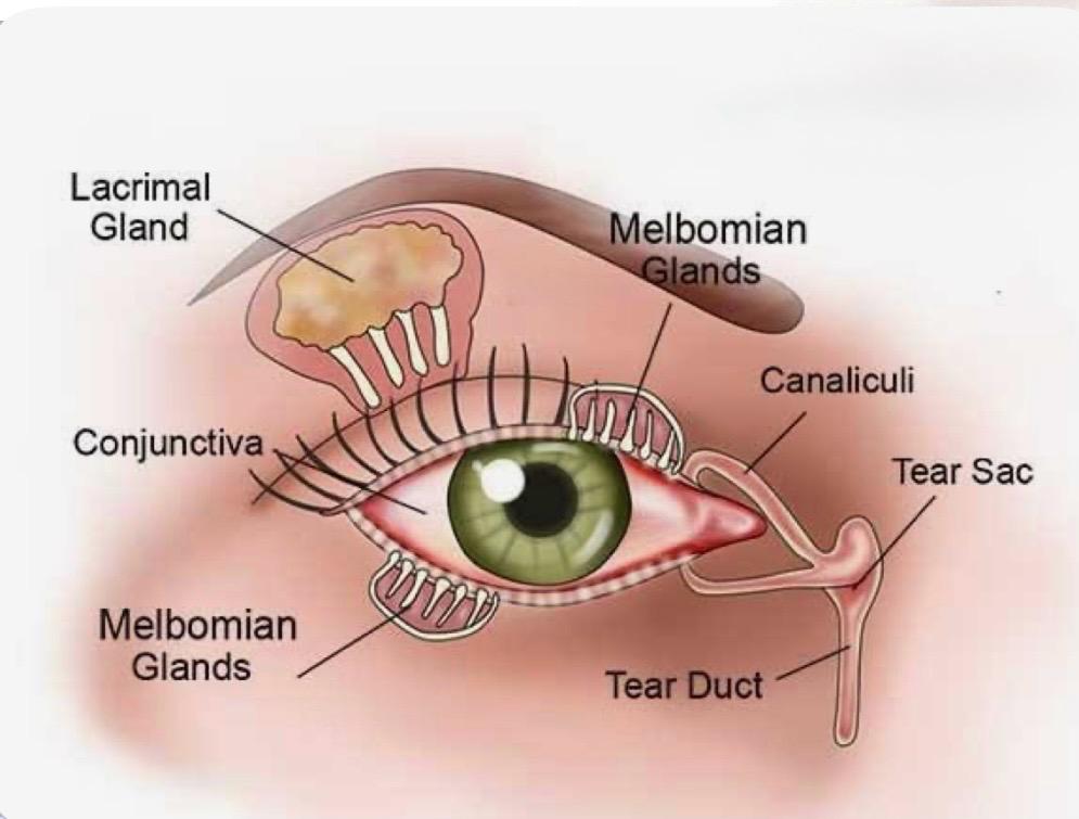 dry-eye-treatment-at-dr-kp-singh-eye-care-centre-chandigarh